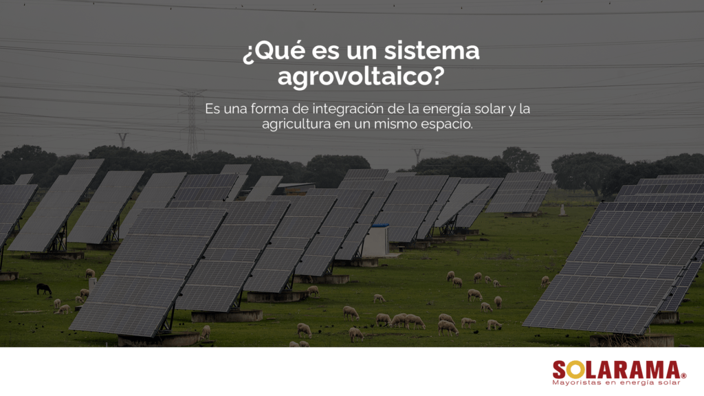 Sistemas agrovoltaicos