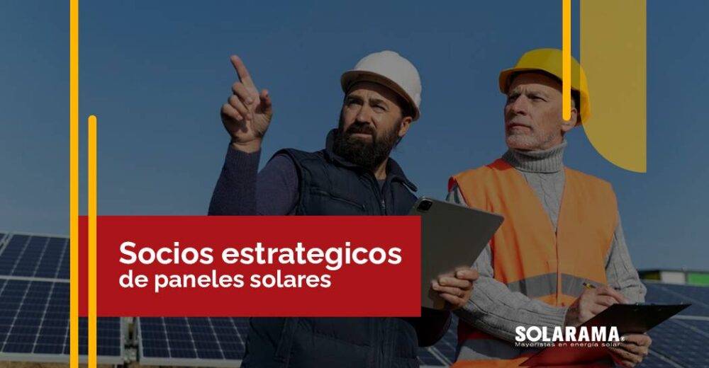 Socios estratégicos